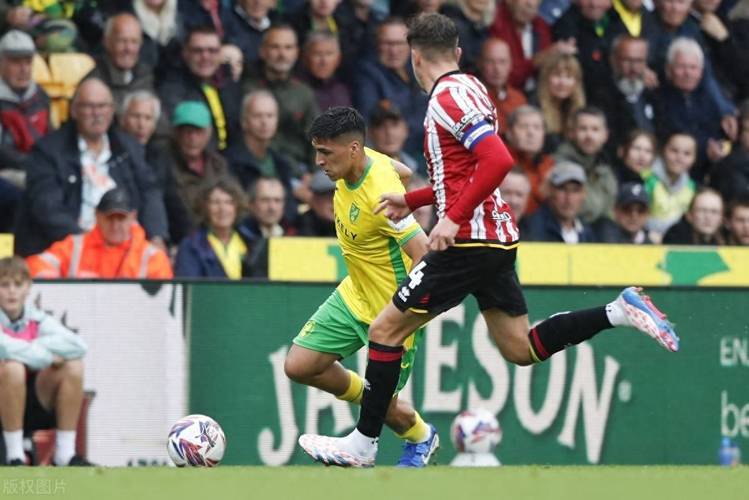 水晶宫主场不敌谢菲联，遭遇保级危机的简单介绍