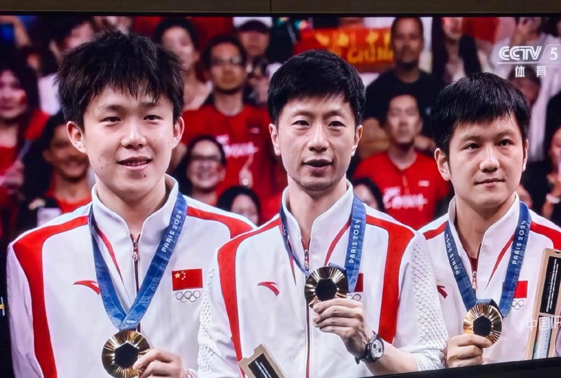 开云体育官网-瑞典队横扫韩国队,马龙刷新纪录