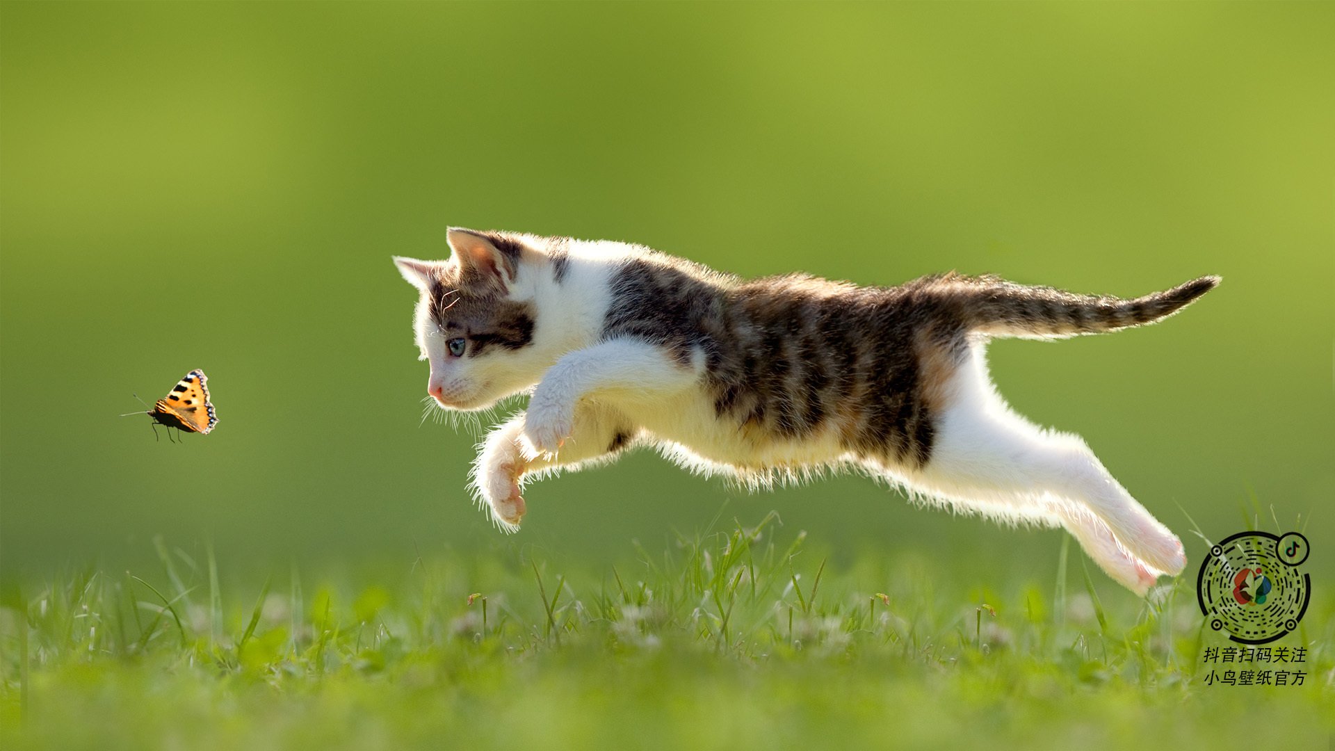 唯一性,当雄鹿拿下辽宁队,我们才发现伦纳德接管东决的真相