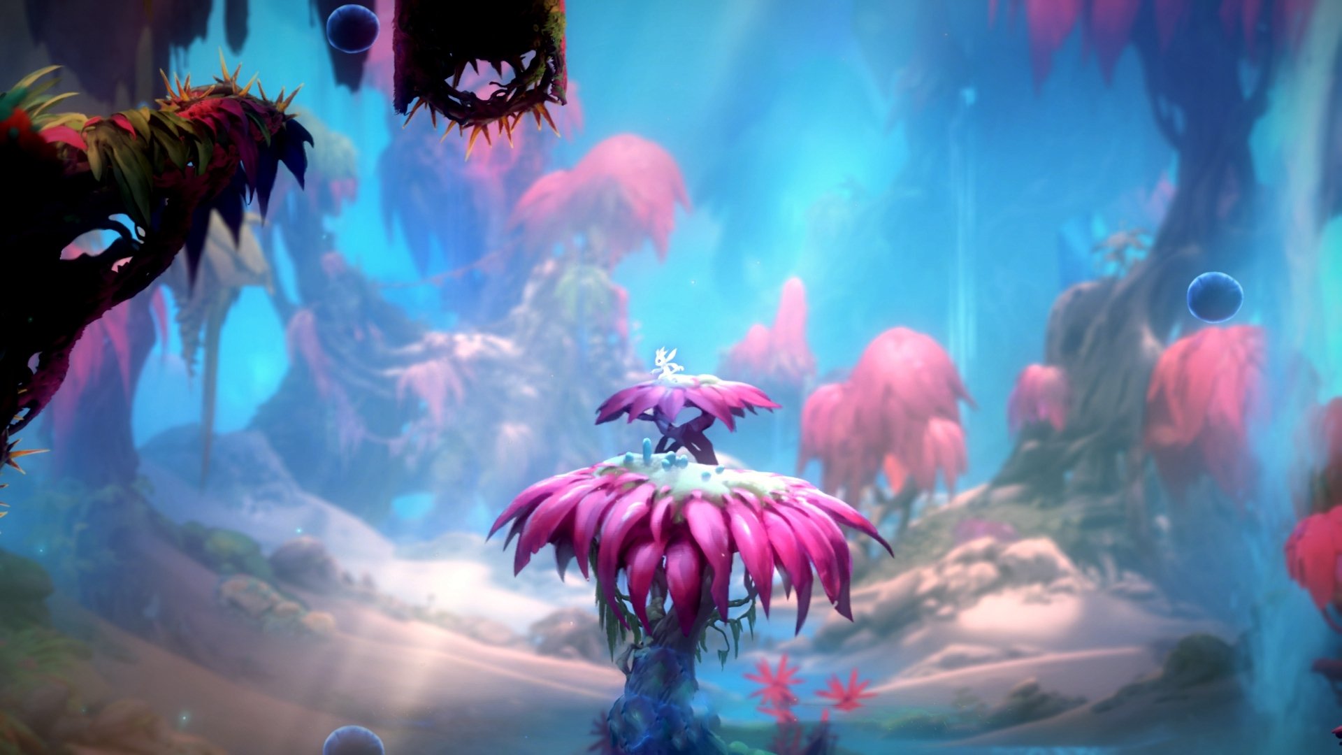 开云官网-双重奏，当文班亚马完成自我救赎，广东队逆转森林狼