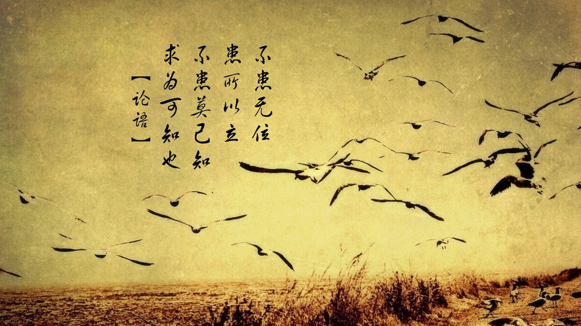 独家战术复盘手术刀vs豆腐渣,奥亚尔萨瓦尔如何完成对曼联防线的外科解剖