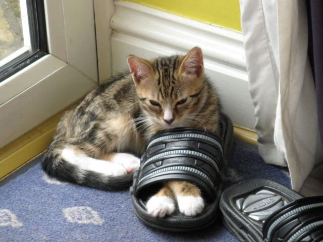 欧冠淘汰赛之夜,当布伦森的纪录与足球的疯狂同频,所有伟大都源于必败的绝境