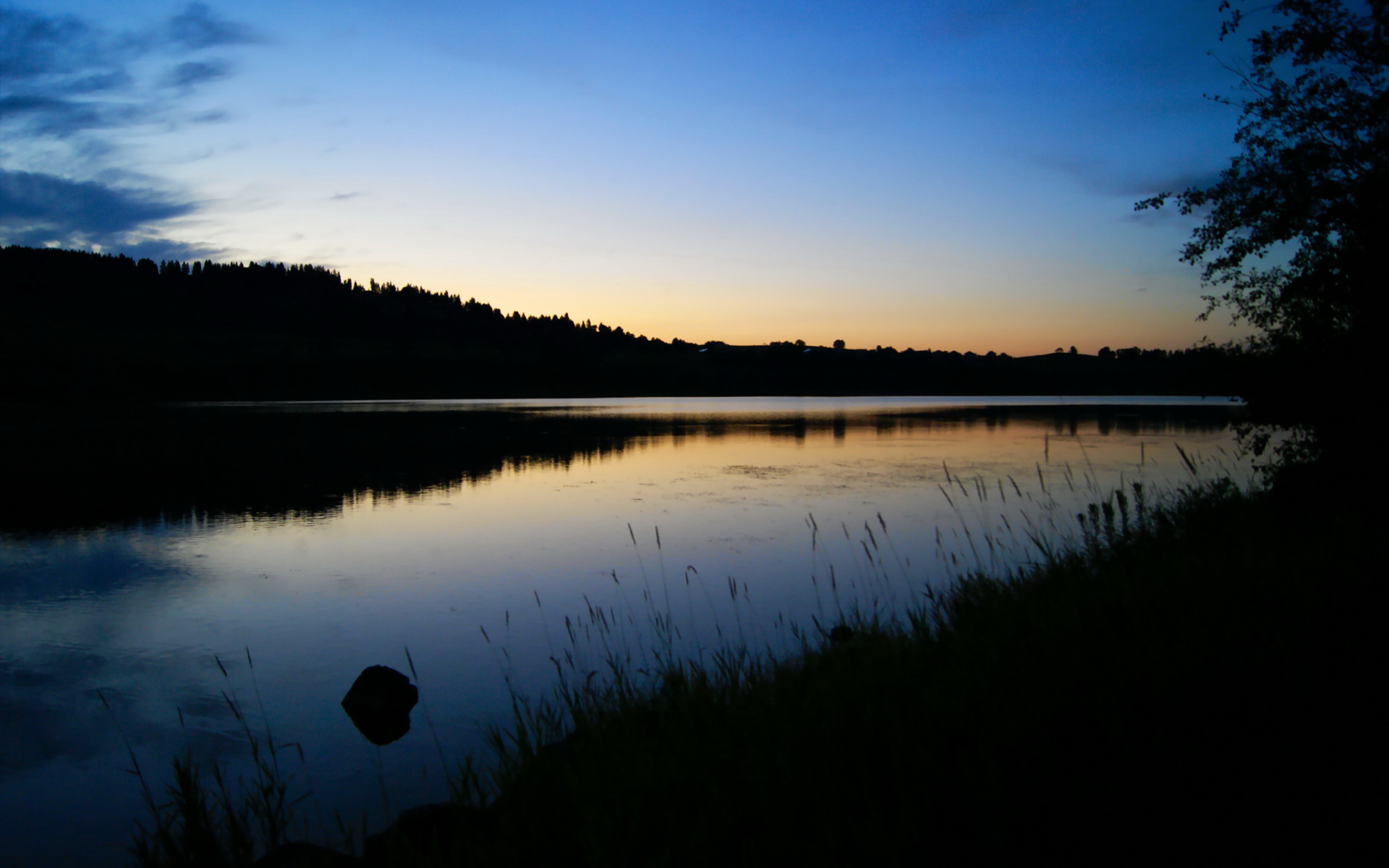 暗夜银箭,布鲁诺关键回合不手软,为新赛季奠定激昂基调