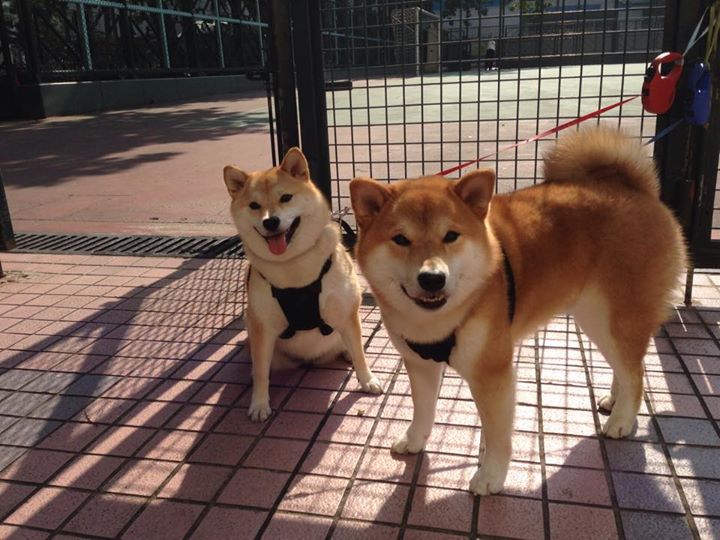 唯一性对决，当克利夫兰的利剑刺穿辽宁铁壁，米切尔用42分写下传奇