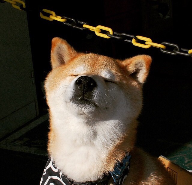 开云体育入口-终场前的哨音，阿什拉夫一人终结悬念的夜晚