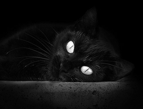 开云官网-欧冠英雄跨界救主！金玟哉NBA总决赛之夜用脚改写篮球历史