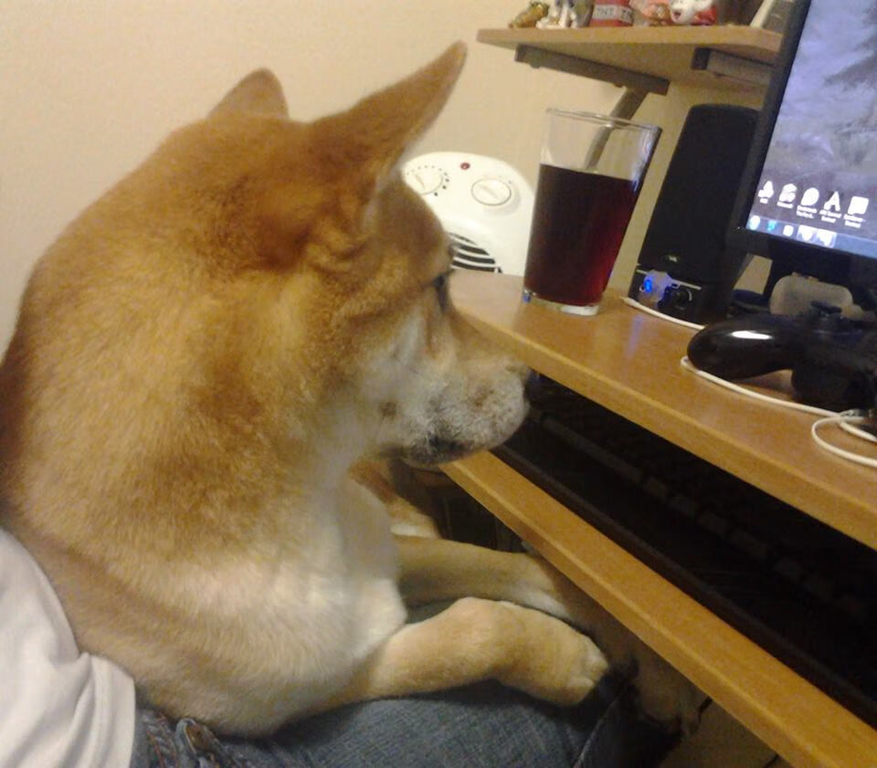 最后一秒的心跳，哈利伯顿的致命一击助雷霆险胜深圳