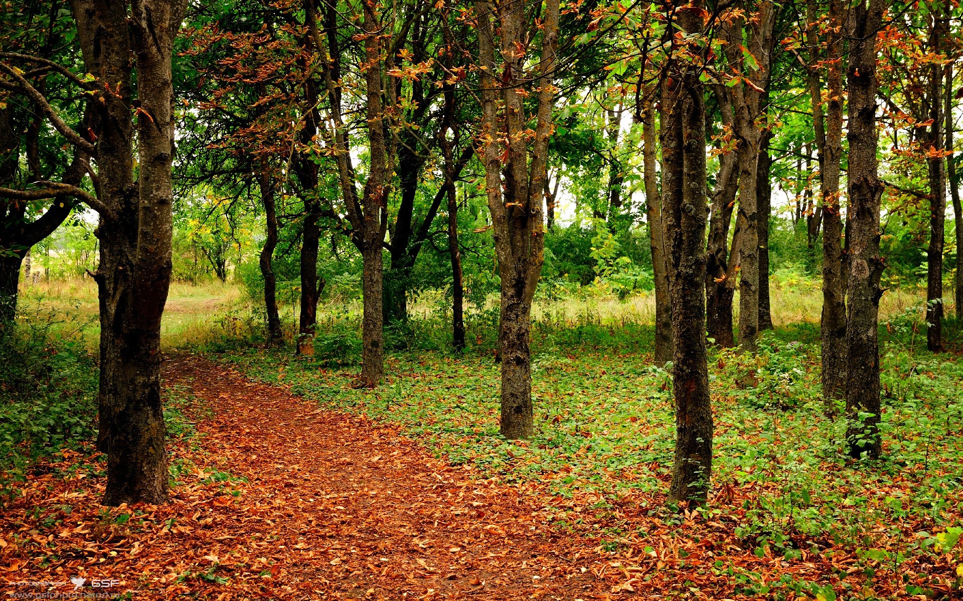 开云APP-当密西西比河遇见钱塘江,2026世界杯赛场外的灰熊vs浙江文化暗战