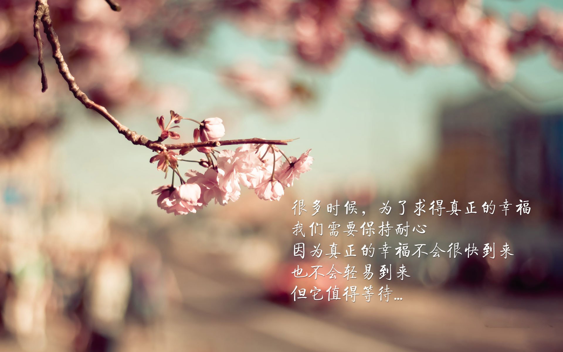 106年等一回,当欧冠决赛邂逅邦交战,洪都拉斯力克摩纳哥引爆足球史最独特篇章