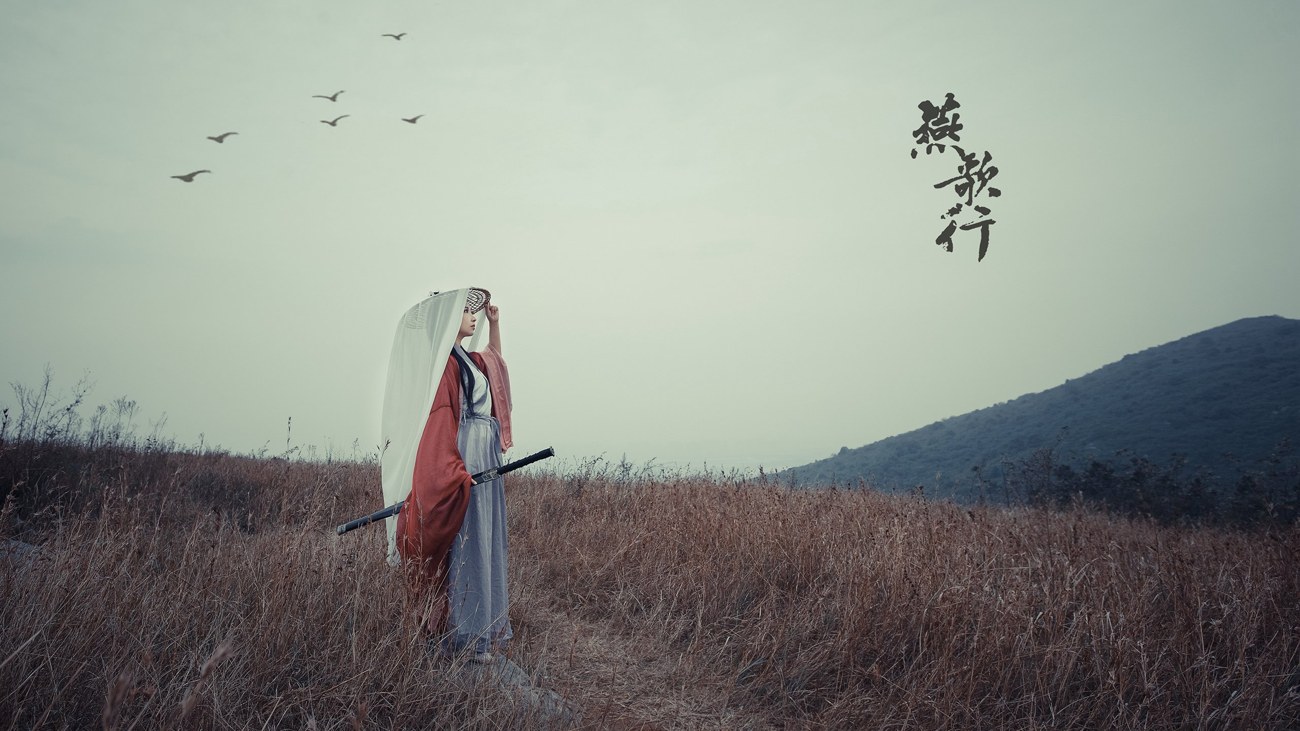 双面解码2014世界杯，迪马利亚的灵光与比利时的强韧公式