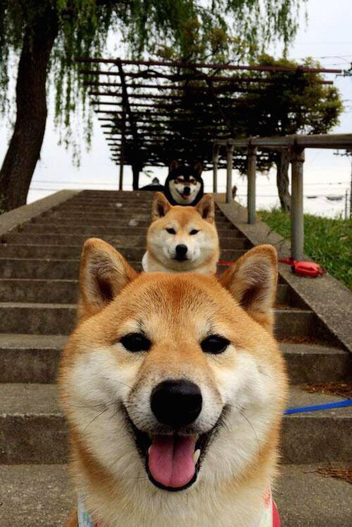 浓眉划破长夜!新疆险胜吉林,琼斯致命一击定乾坤