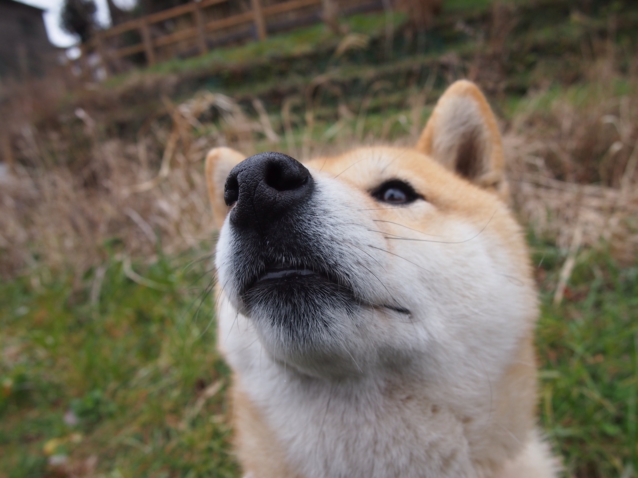 阿劳霍时间,当墨西哥的脉搏由一人心跳定义