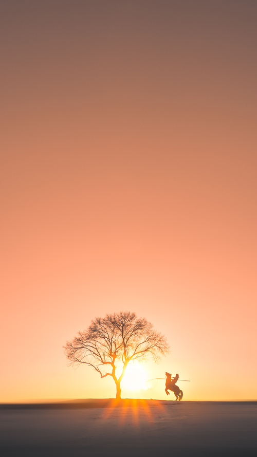 开云下载-铁锁横江，当西亚卡姆成为独行侠的噩梦，灰熊的防守哲学如何扼住命运的咽喉