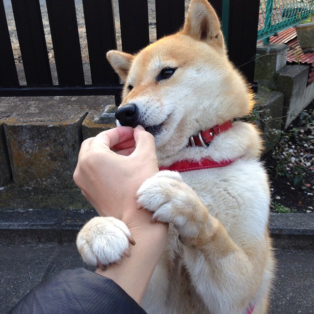 （方案一）