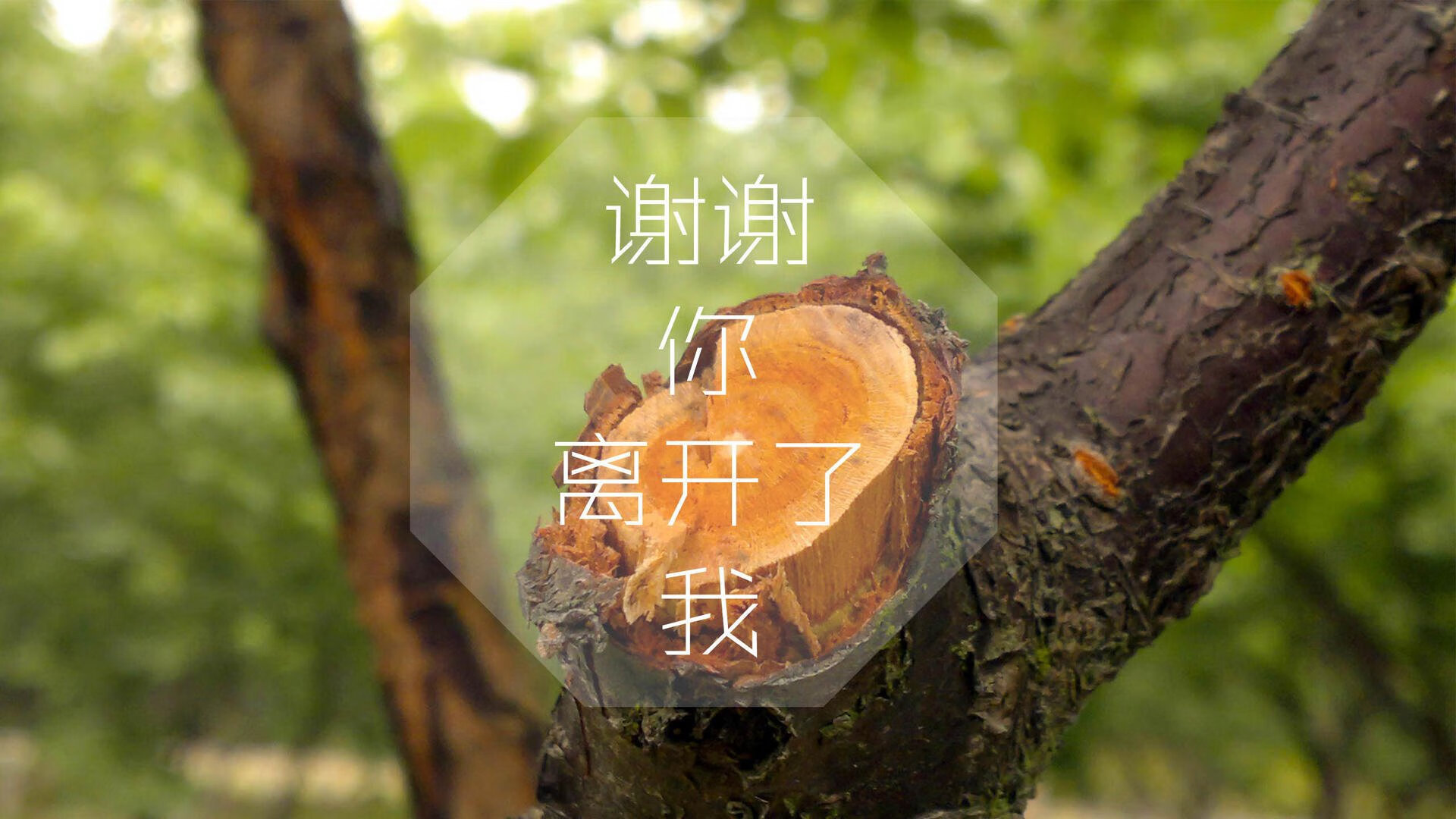 唯一之境，当欧冠的圣杯染上热火的硝烟—一场跨越时空的生死交响