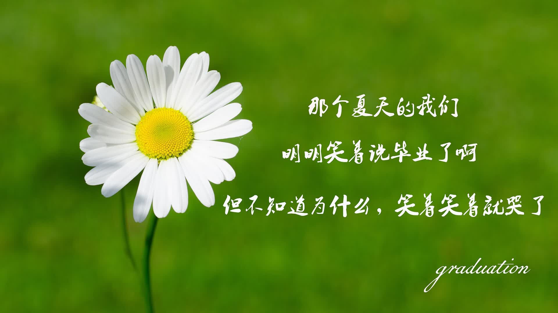 开云体育app-2026世界杯生死战，日本碾压阿联酋，拉什福德致命一击锁定胜局，一场节奏如刀的巅峰对决